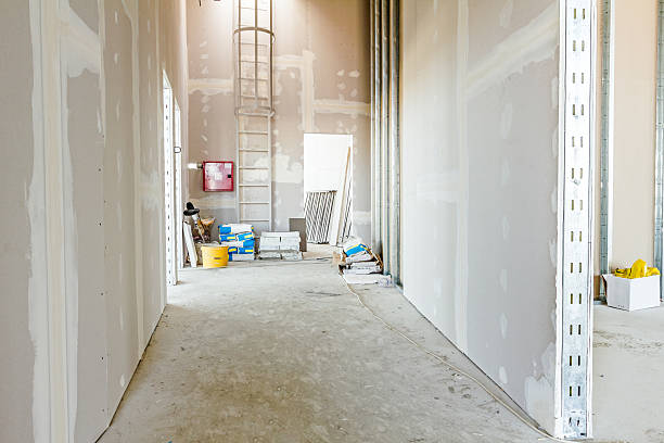 Best Drywall Installation  in South Apopka, FL